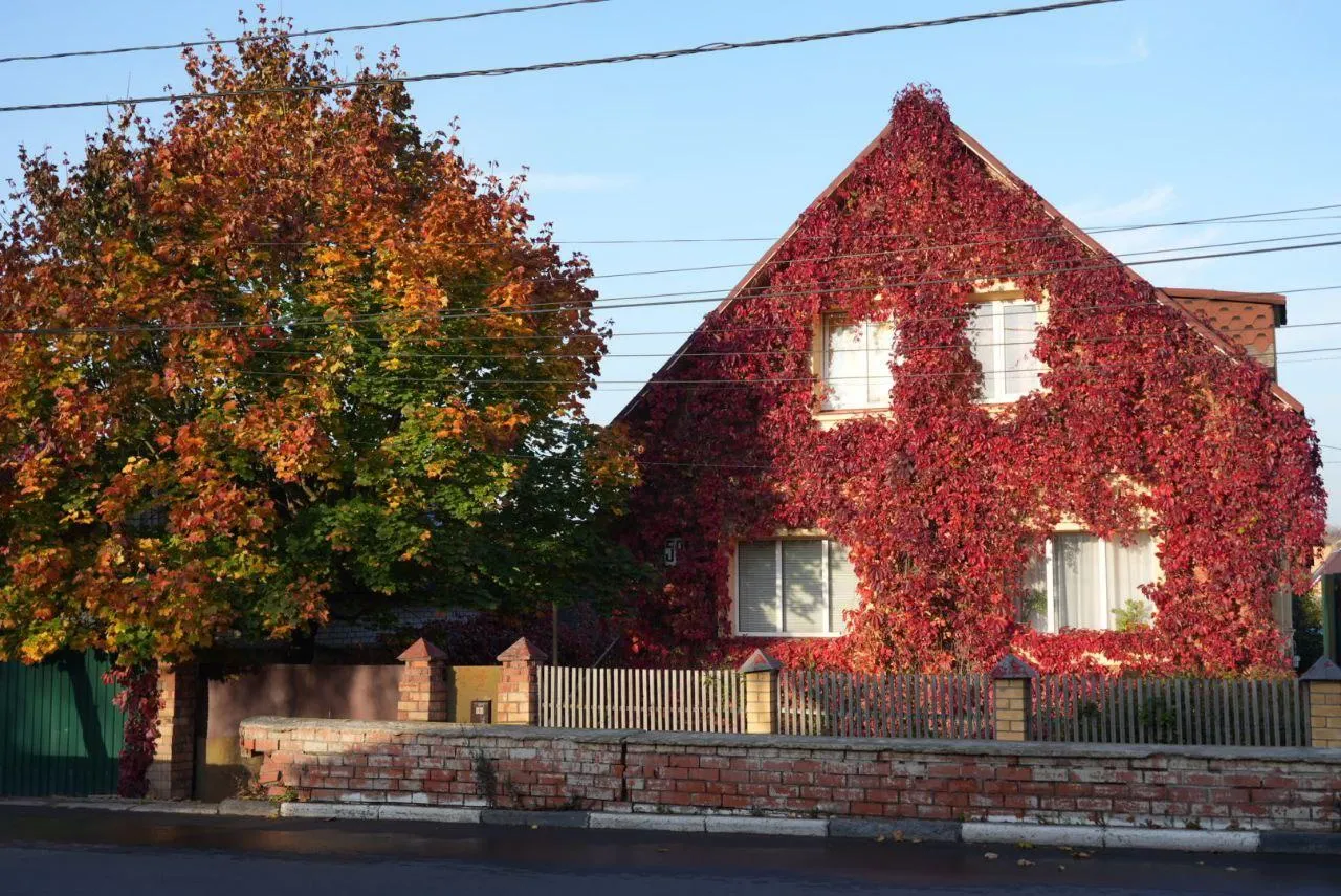 Дмитрий Зайчиков