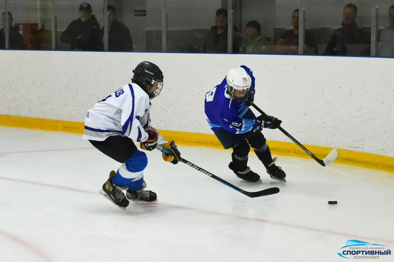 Фото: Зарайский ледовый спортивный комплекс