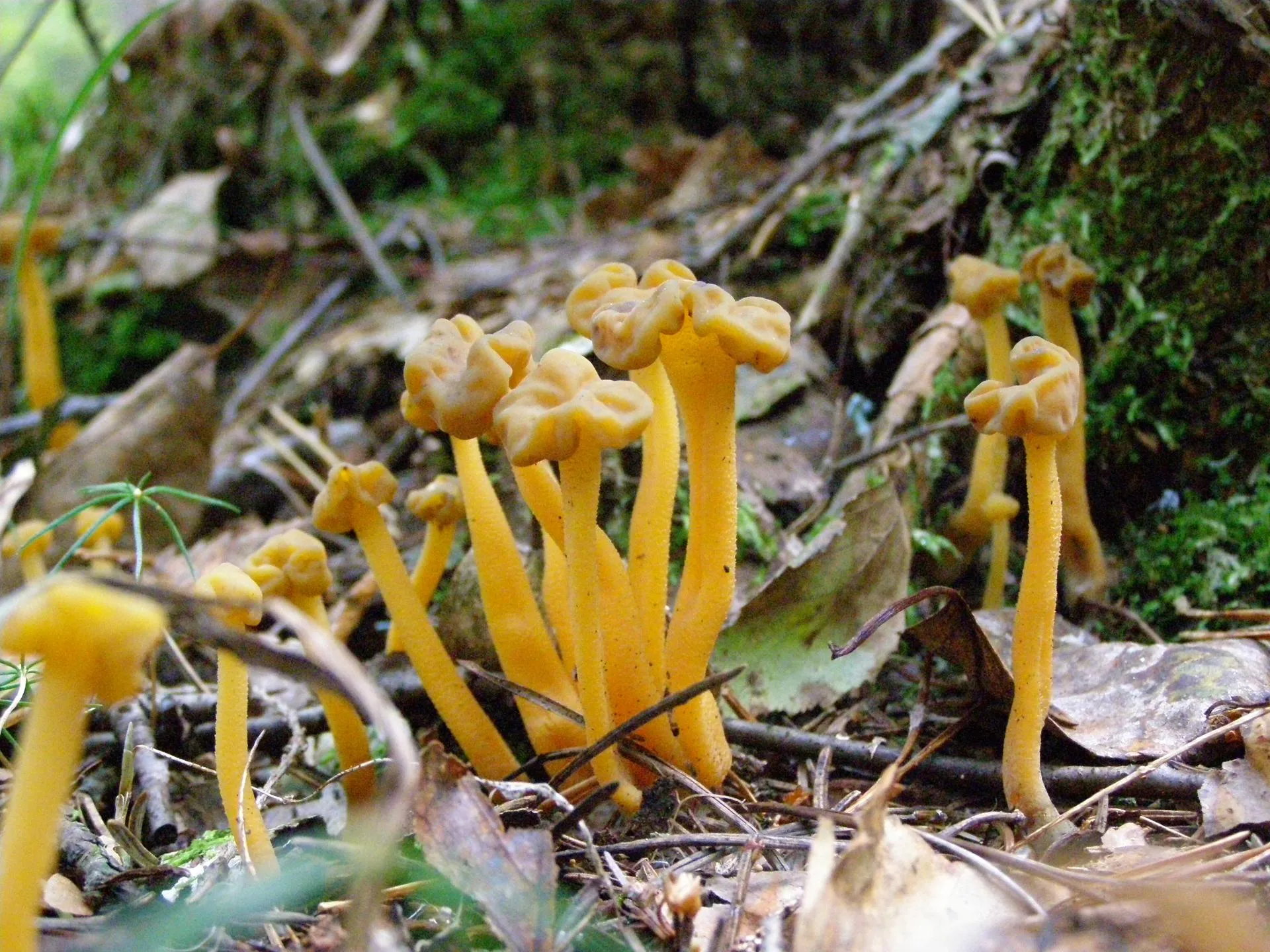 Министерство экологии и природопользования Московской области