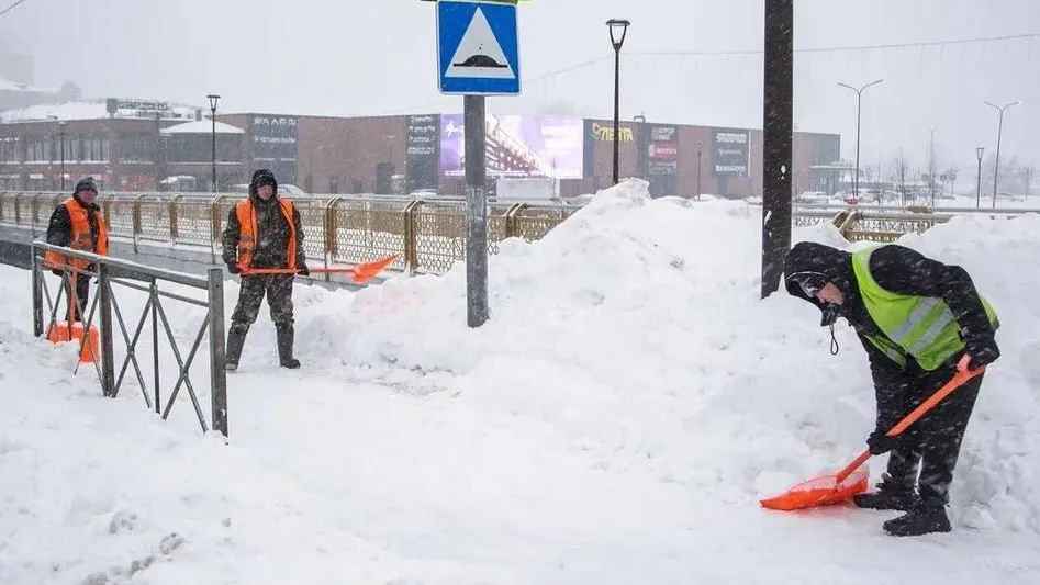 Фото: пресс-служба администрации Наро-Фоминского г.о.