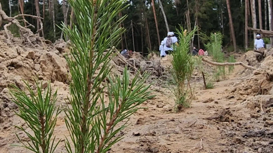 Фото: REGIONS/Василий Тремасов