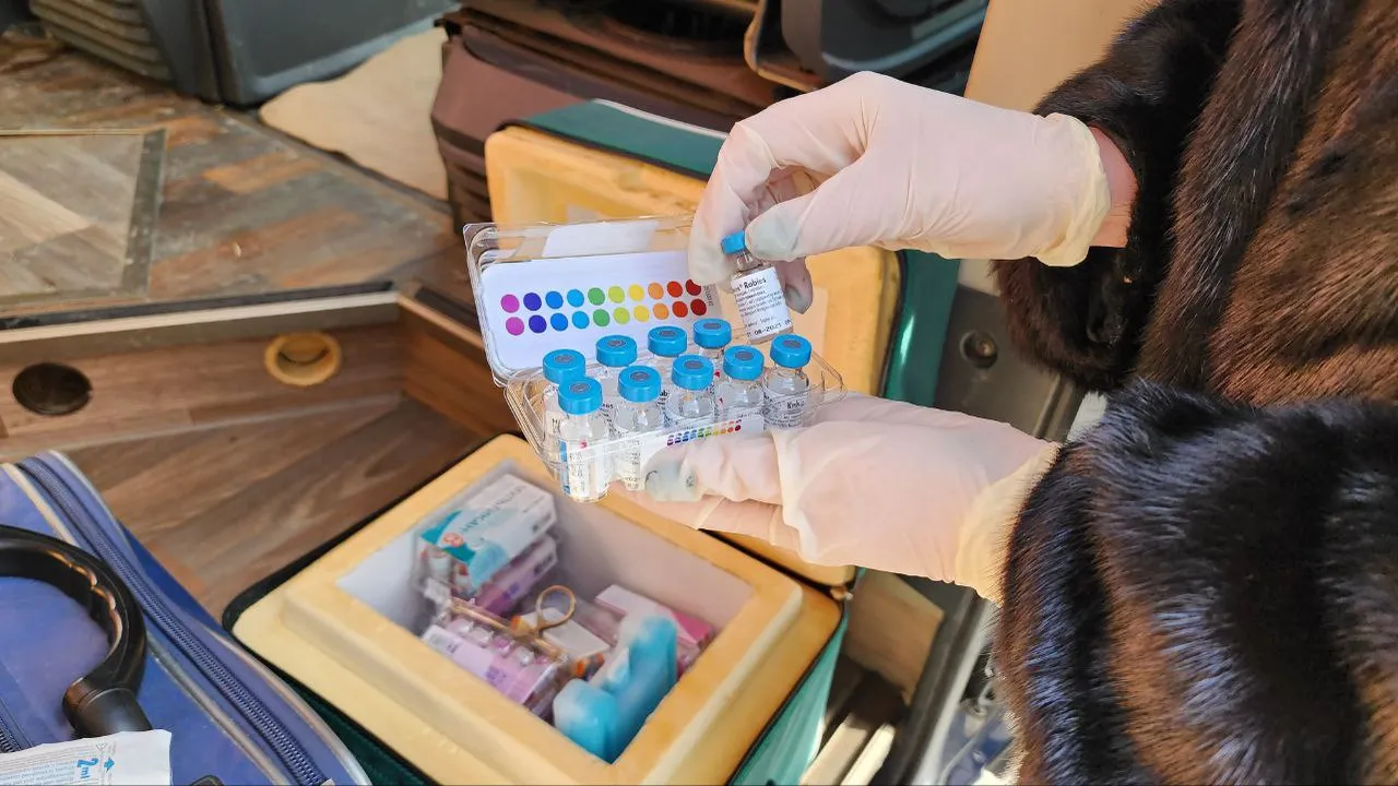 Наталья Лымарь