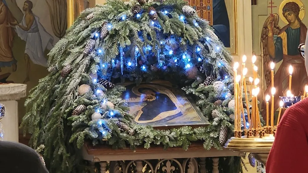 Фото: МедиаБанк Подмосковья/Иван Петрушин