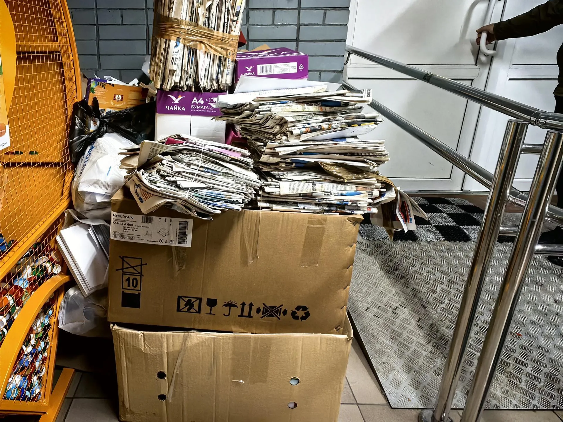 Елена Катасонова