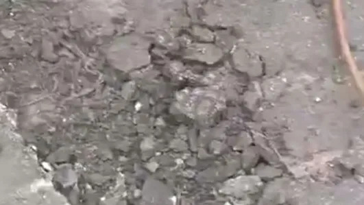 фото телеграм-канала администрации Ленинского городского округа