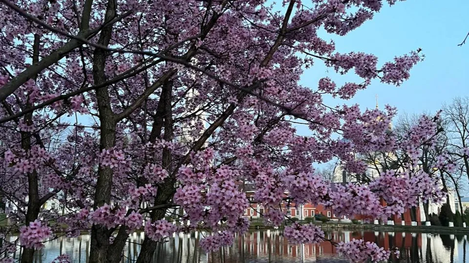 Фото: Мария Кича