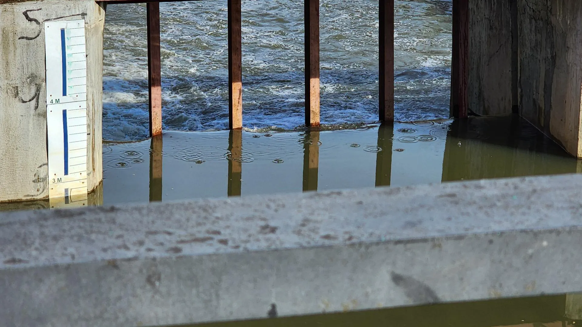 REGIONS/Екатерина Мелкозерова