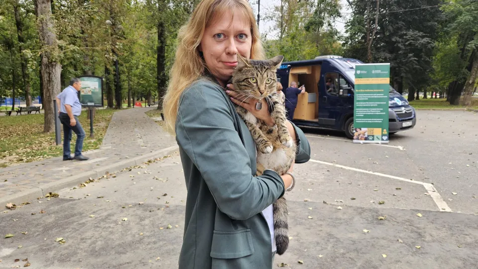 Фото: МАУ Парковый комплекс го Клин