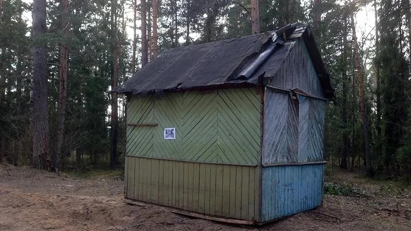Дачник из Дубны вывез свой старый дом в лес и открыл его для бесплатного заселения