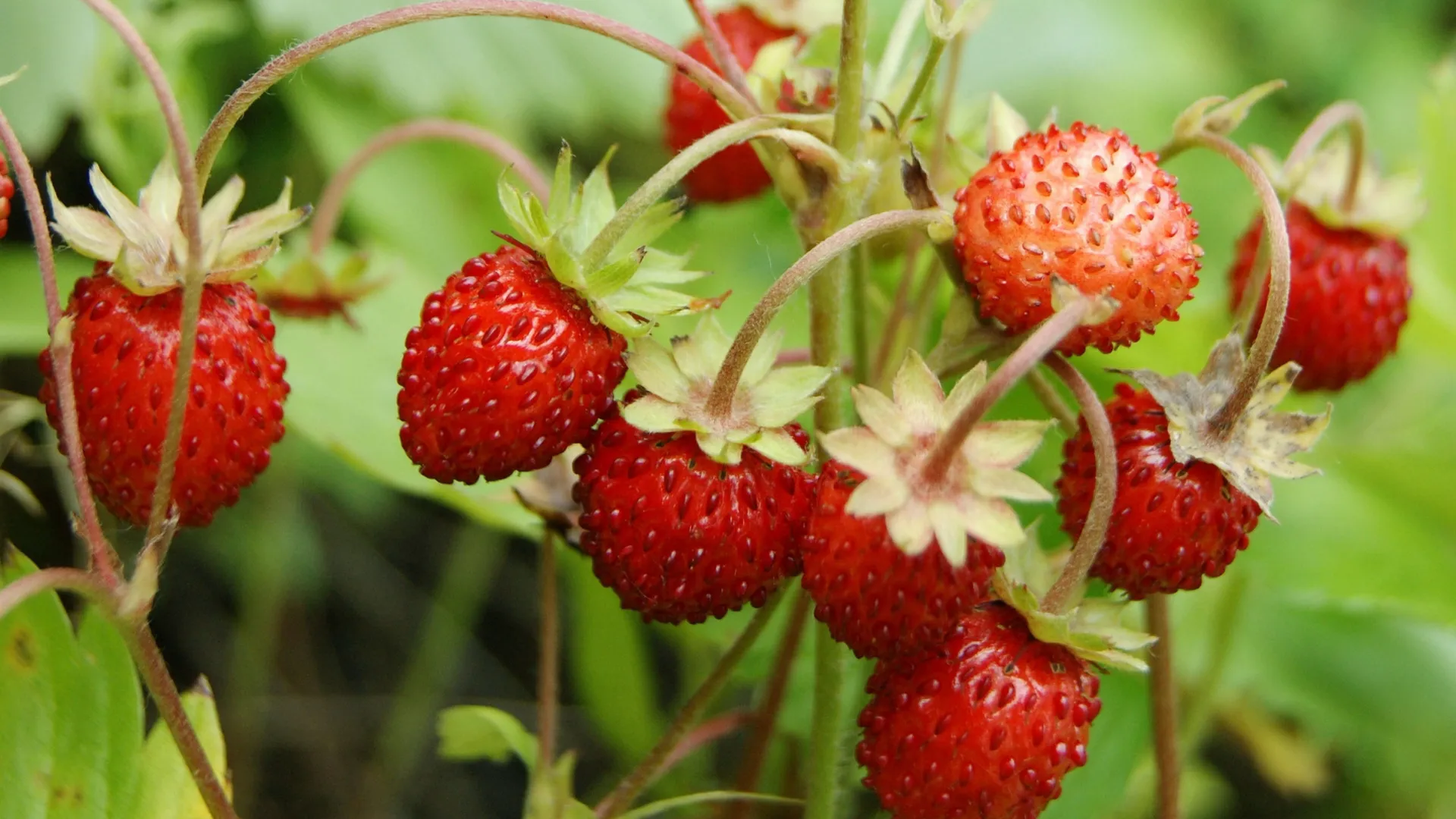 Фото: Александра Серова