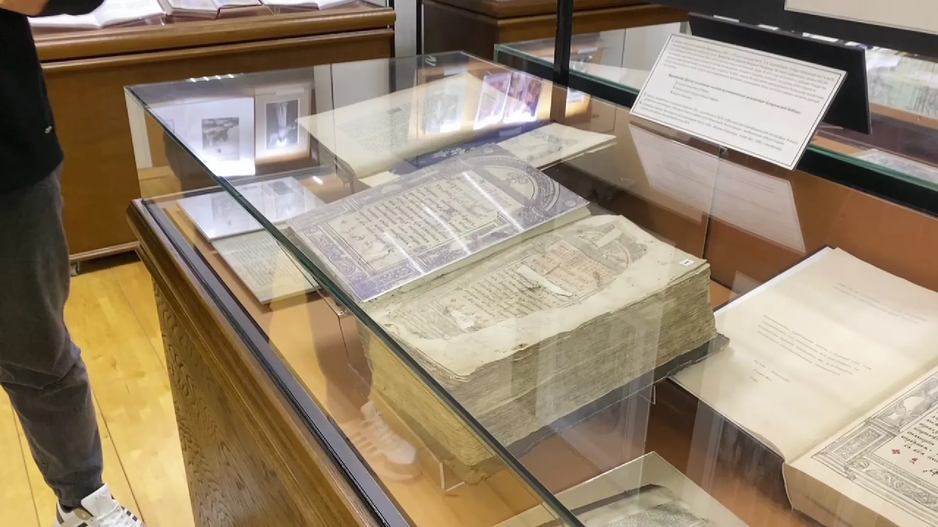 Фото: Дарья Шапочкина