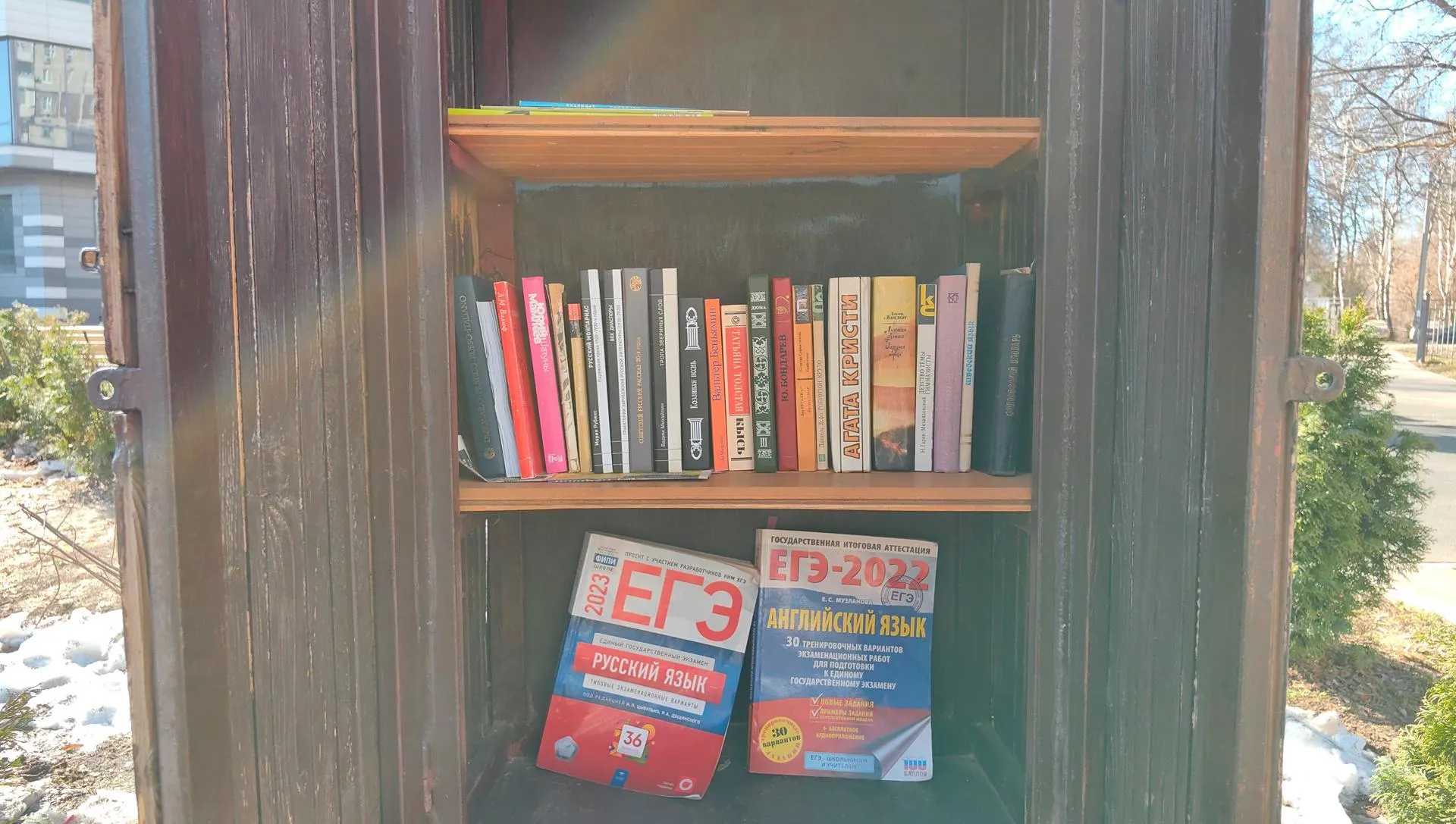 Елена Катасонова