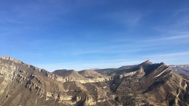 Соцсети