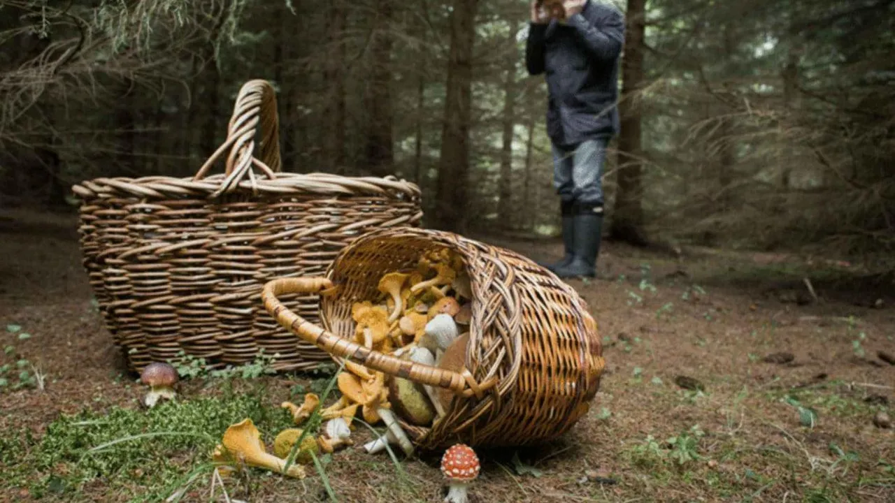 Фото zhukvesti.ru