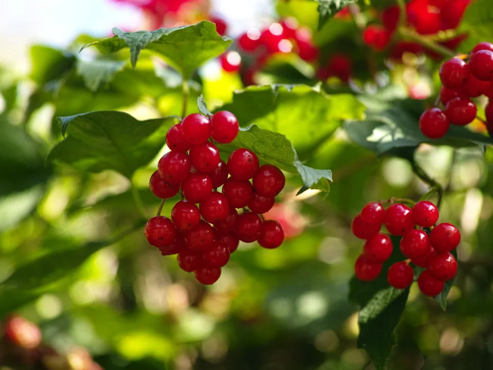 Фото: istockphoto.com/Kayco&nbsp;