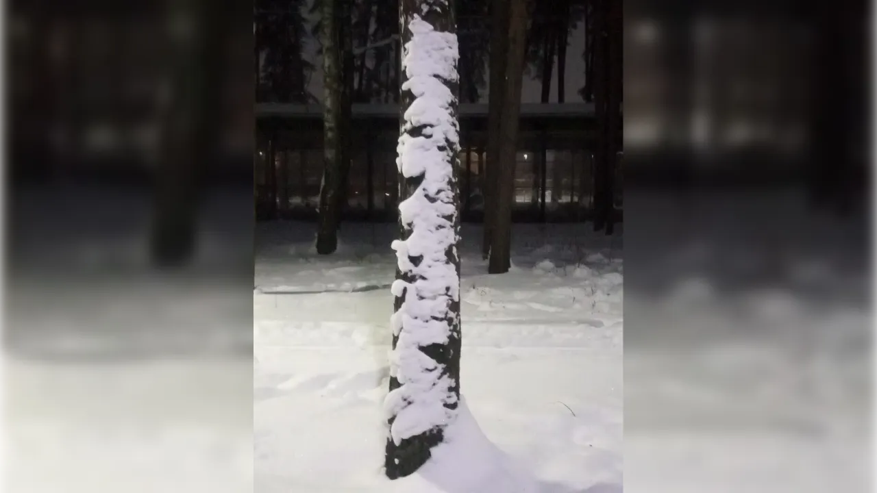 предоставлено жительницей Людмилой