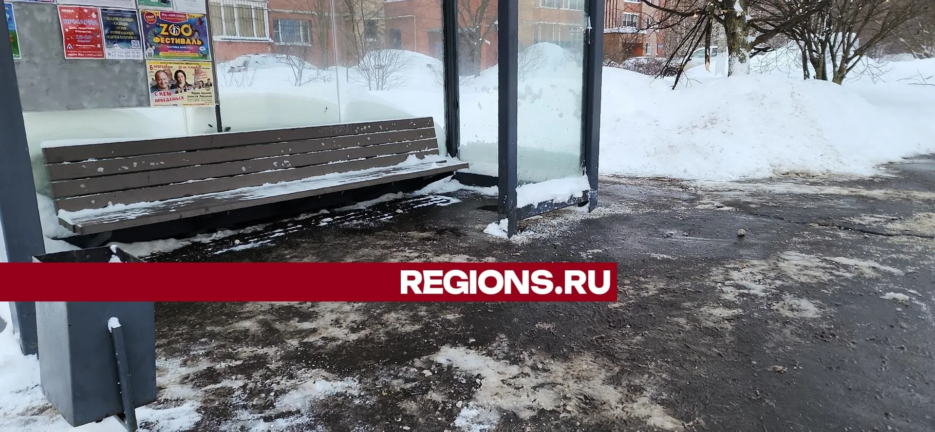 Фото: Нина Басистая