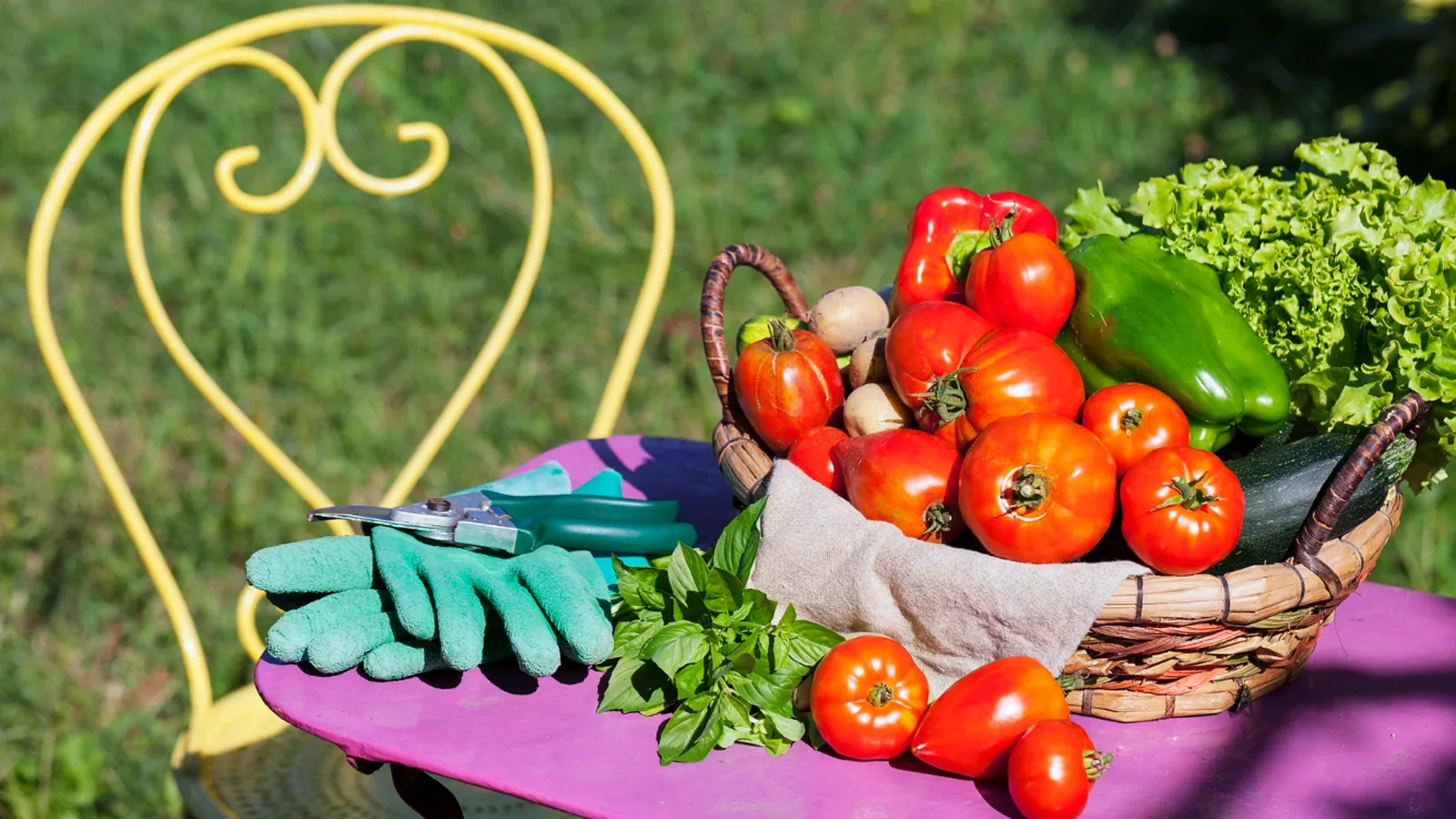 Фото: freepik.com