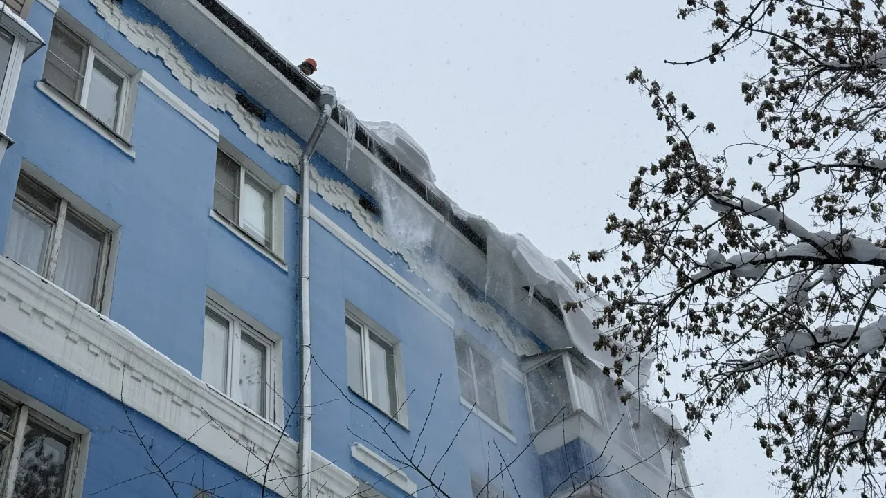 МедиаБанк Подмосковья/Анна Дука