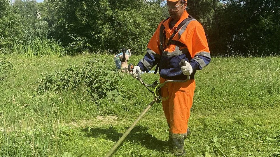 Фото: администрация г.о. Пушкинский