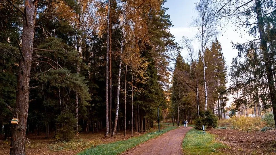 Фото: Андрей Валиков