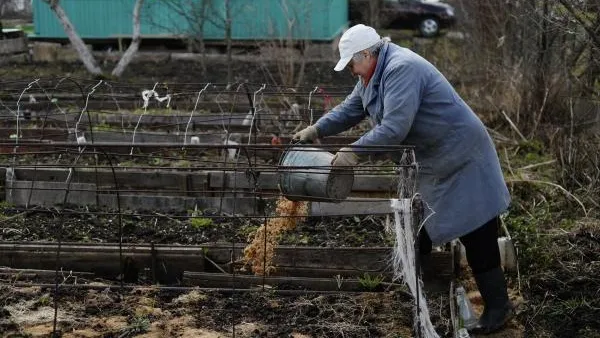 Константин Чалабов / РИА Новости