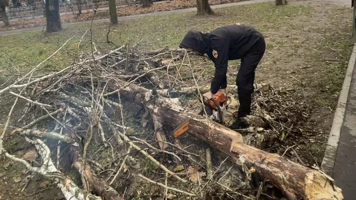 Жители Подмосковья направили более шестидесяти обращений через портал ЕДС на фоне непогоды