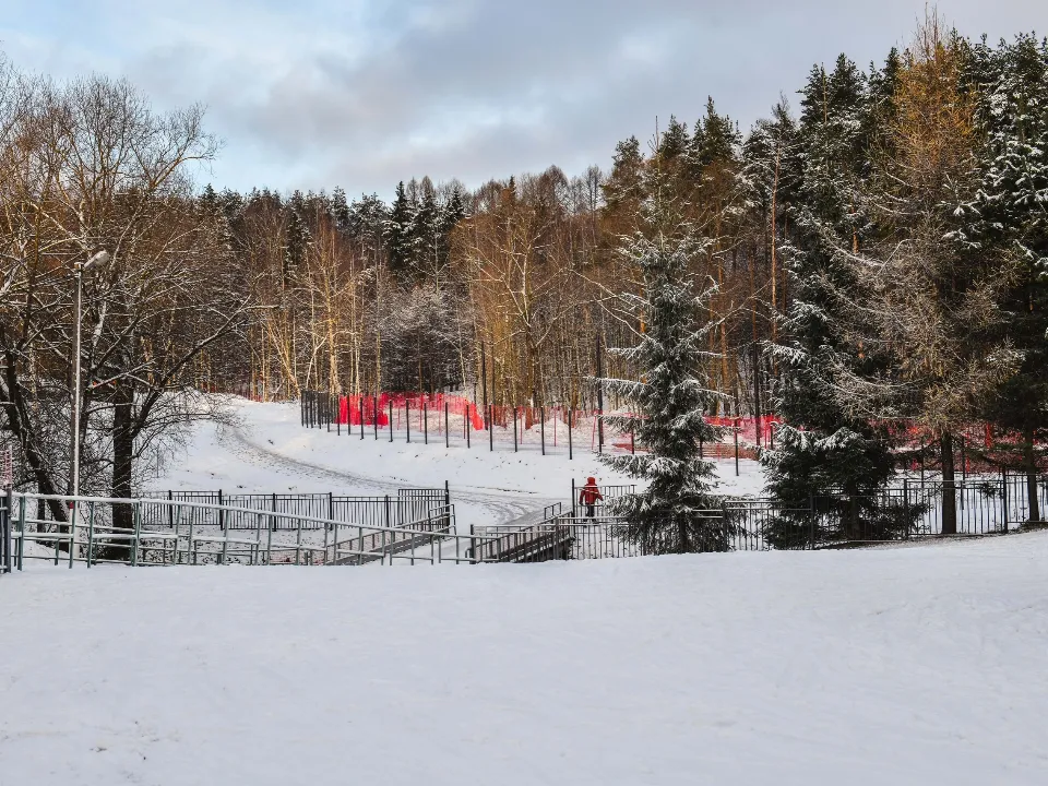 Фото: пресс-служба администрации г.о. Химки