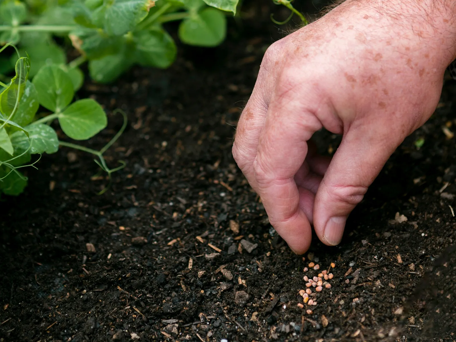 Фото: freepik.com