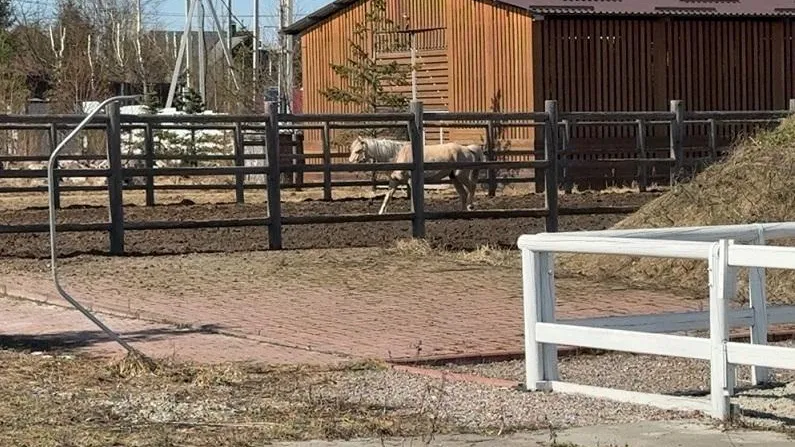 Министерство экологии и природопользования Московской области