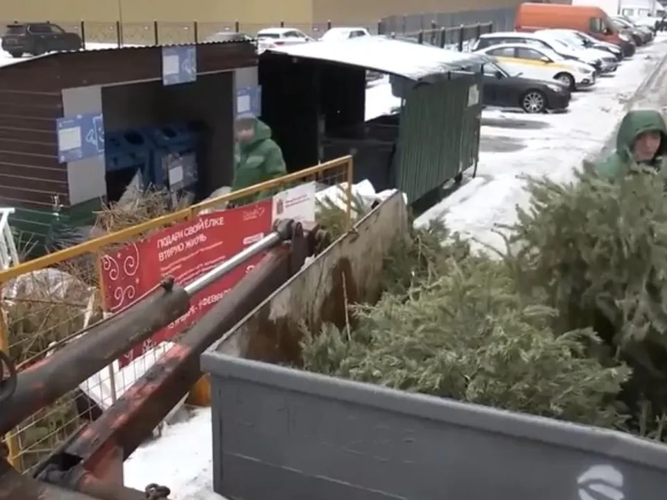 Фото: администрация г. о.&nbsp;Реутов