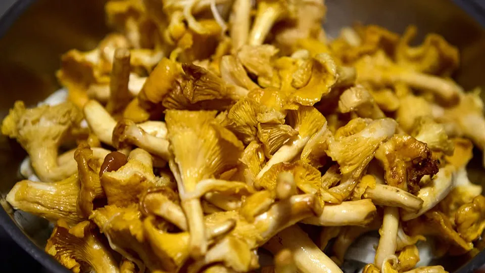 Фото: istockphoto.com/Vsevolod Zelikov