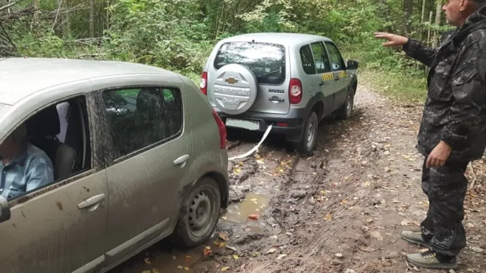 Фото: Егорьевское лесничество