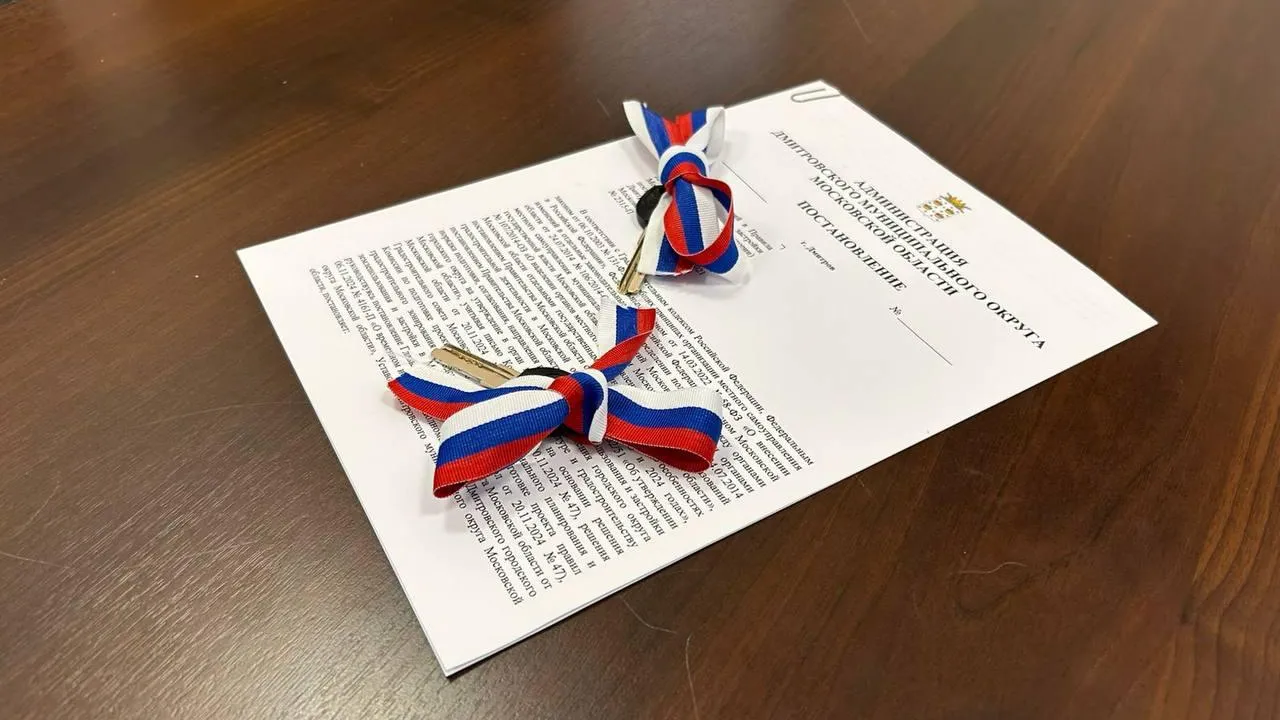 Фото: пресс-служба администрации г.о. Дмитров