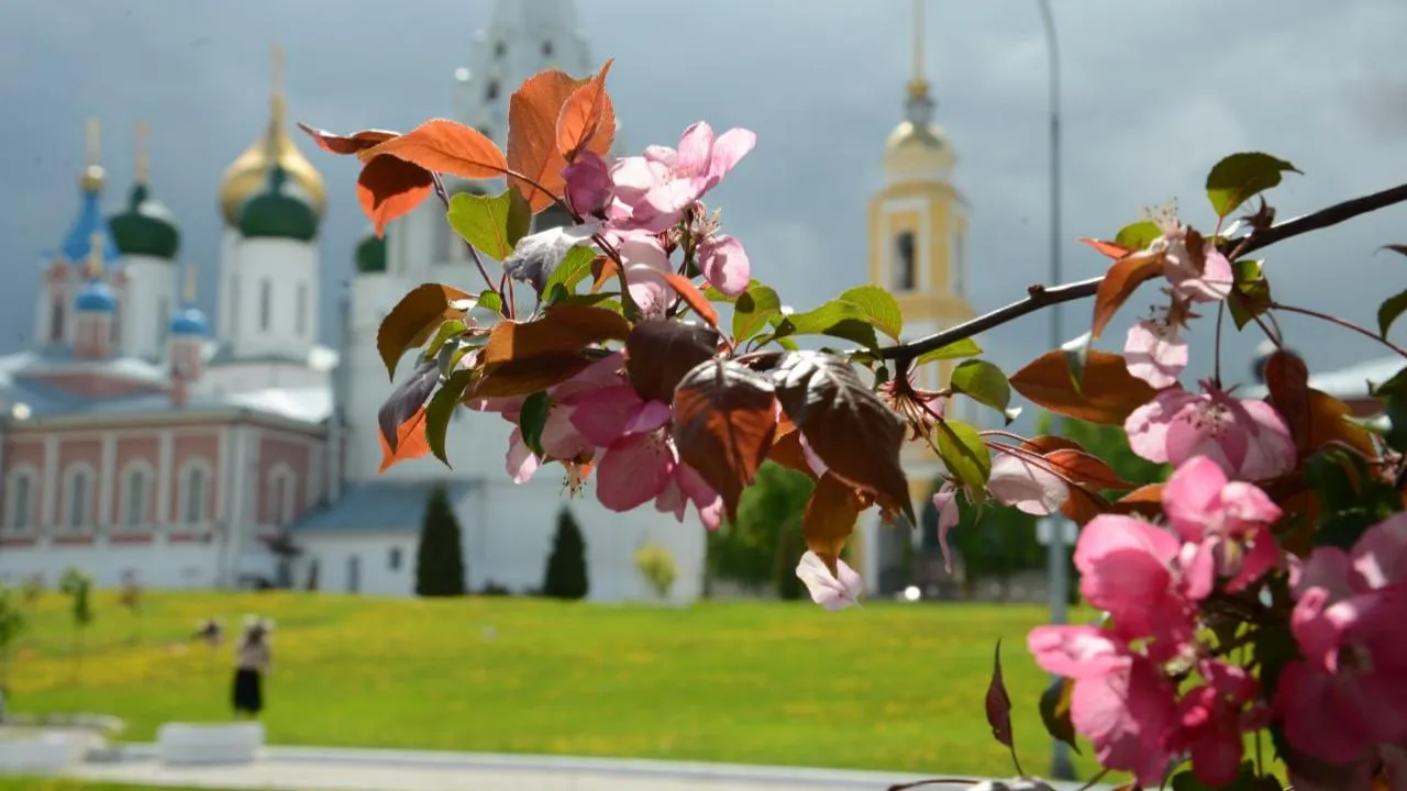 Нина Соколова
