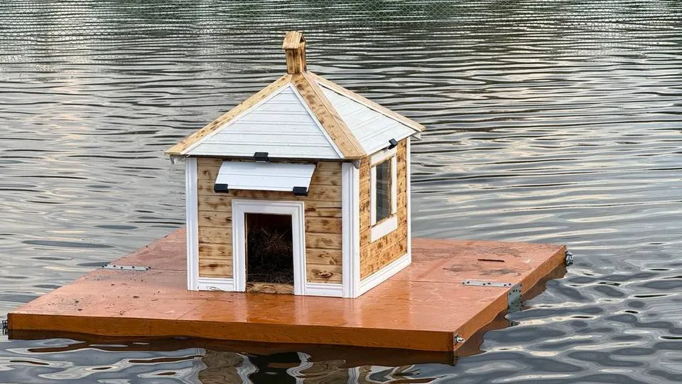 Фото: пресс-служба администрации г.о. Мытищи