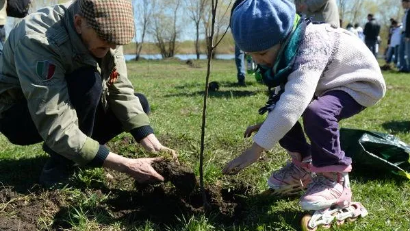 В Подмосковье вырастет «Лес Победы»