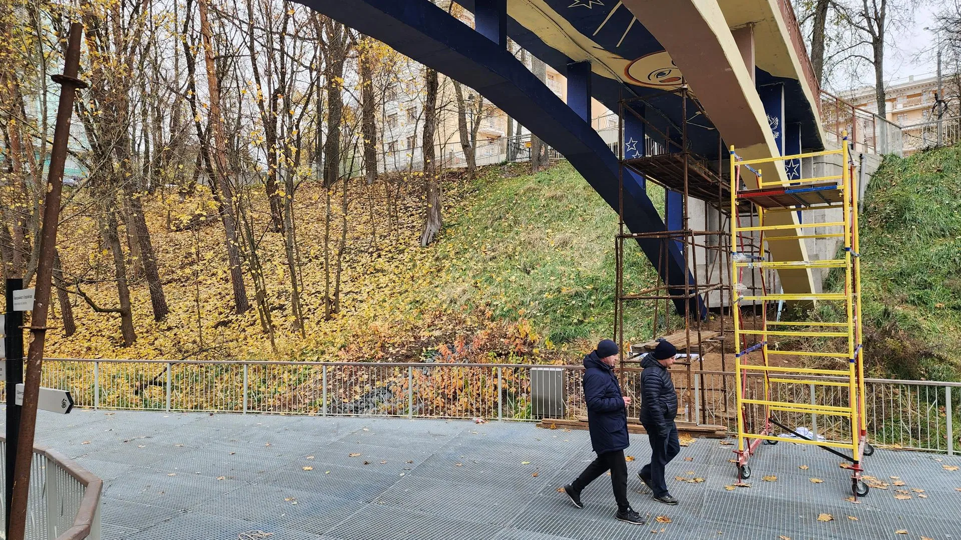 Хавива Фонина