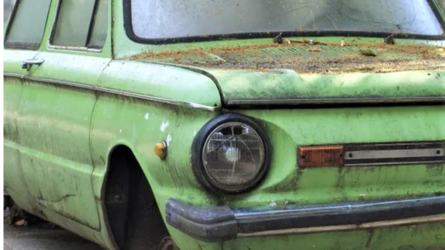 Фото: pxhere.com