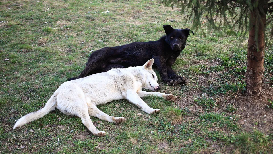 Фото: медиасток.рф