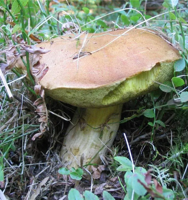 Министерство экологии и природопользования Московской области