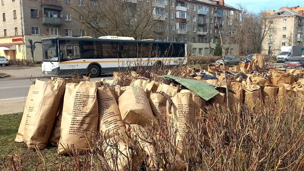 Фото: Олег Книжник