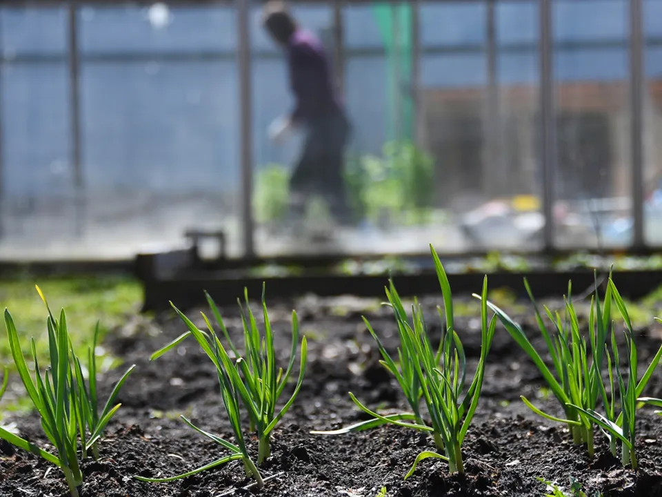 Фото: РИА Новости/Кирилл Каллиников