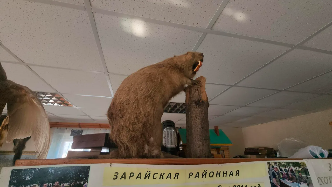 Маргарита Орлова