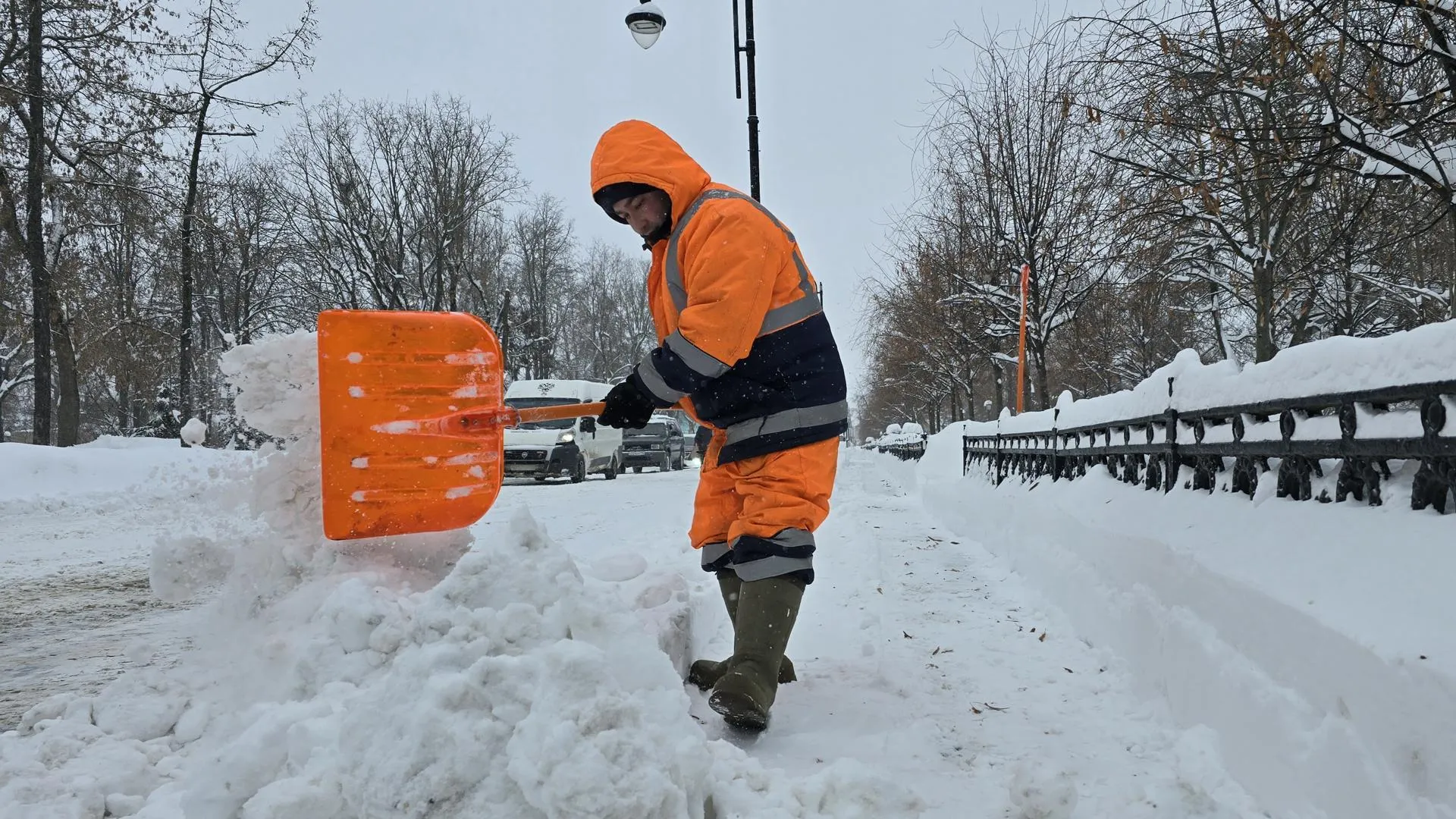МедиаБанк Подмосковья/Марина Анисимова