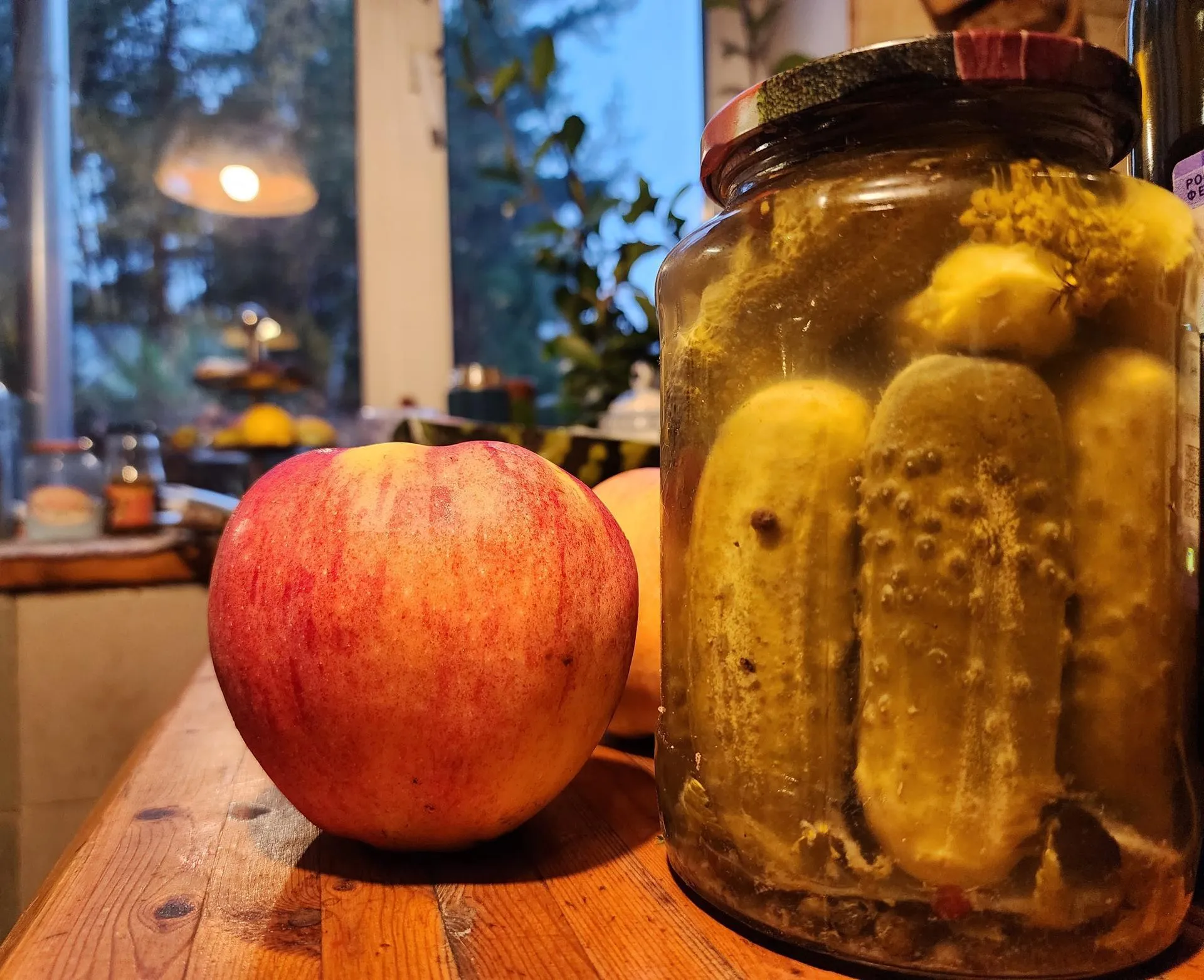 фото: Ксения Пашуто