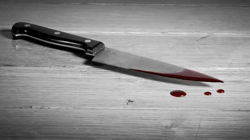 Агрессор с ножом от обиды изрезал свою сожительницу в Подольске