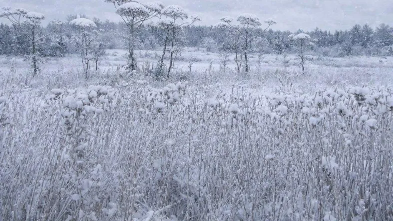 Фото: Минимущества МО