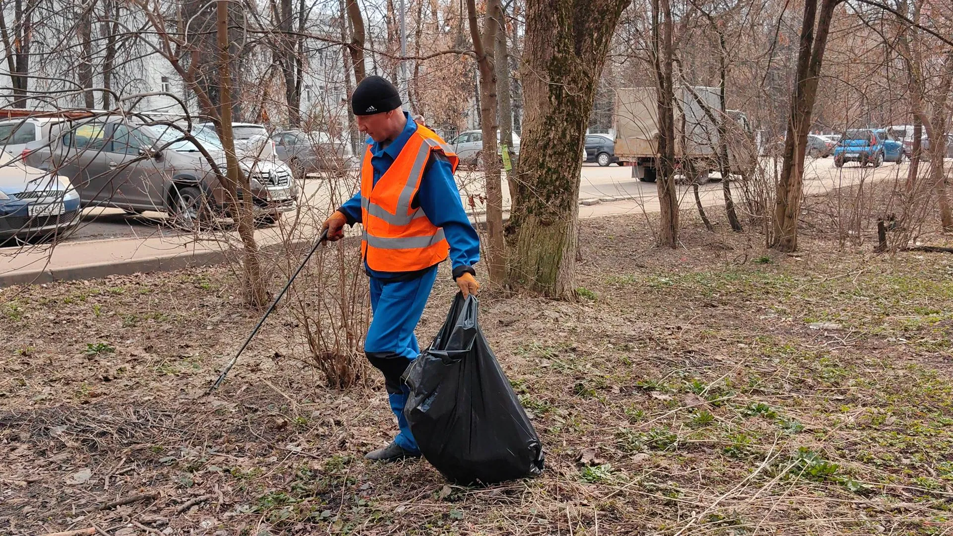 Елена Катасонова