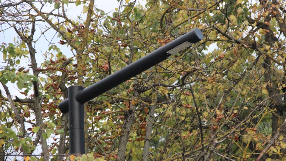 Фото: REGIONS/Василий Тремасов